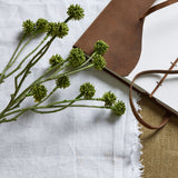 green craspedia stem