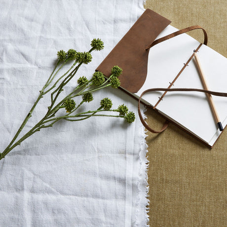 green craspedia stem