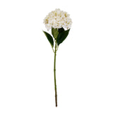 white hydrangea stem