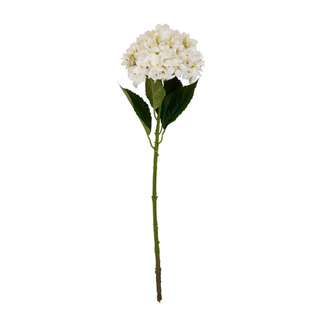 white hydrangea stem