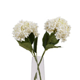 white hydrangea stem