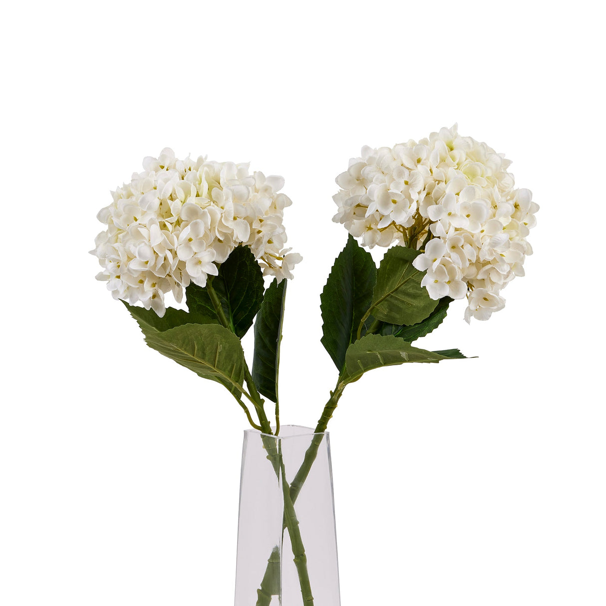 Cyrine White Hydrangea Stem