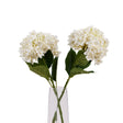 white hydrangea stem