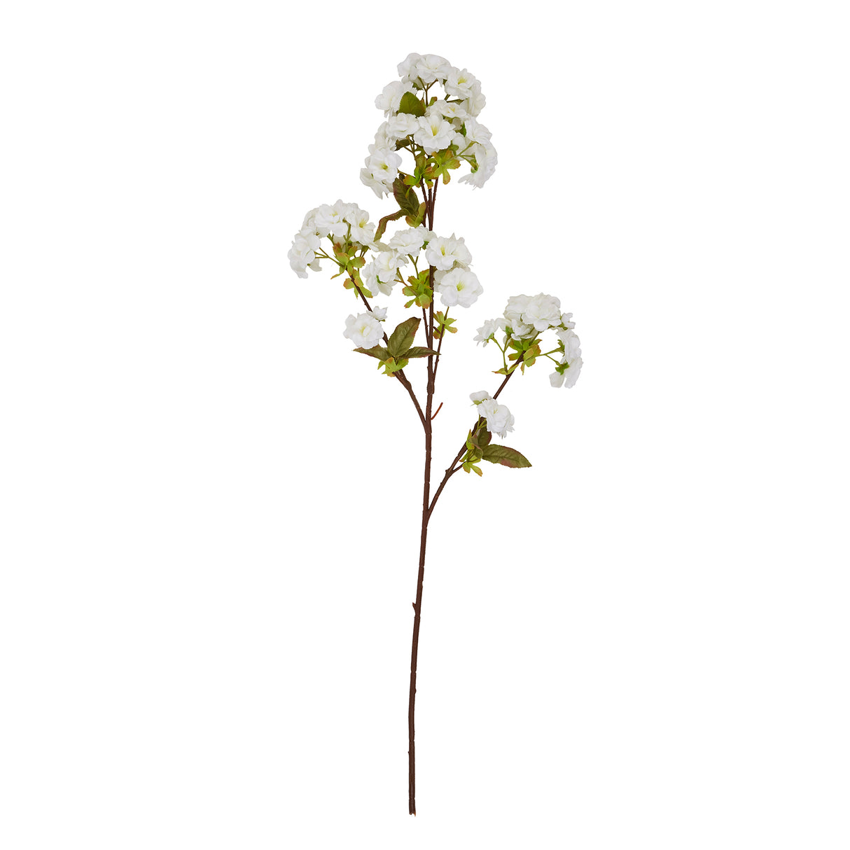 tall white blossom