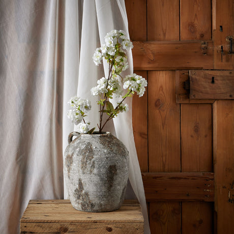 tall white blossom