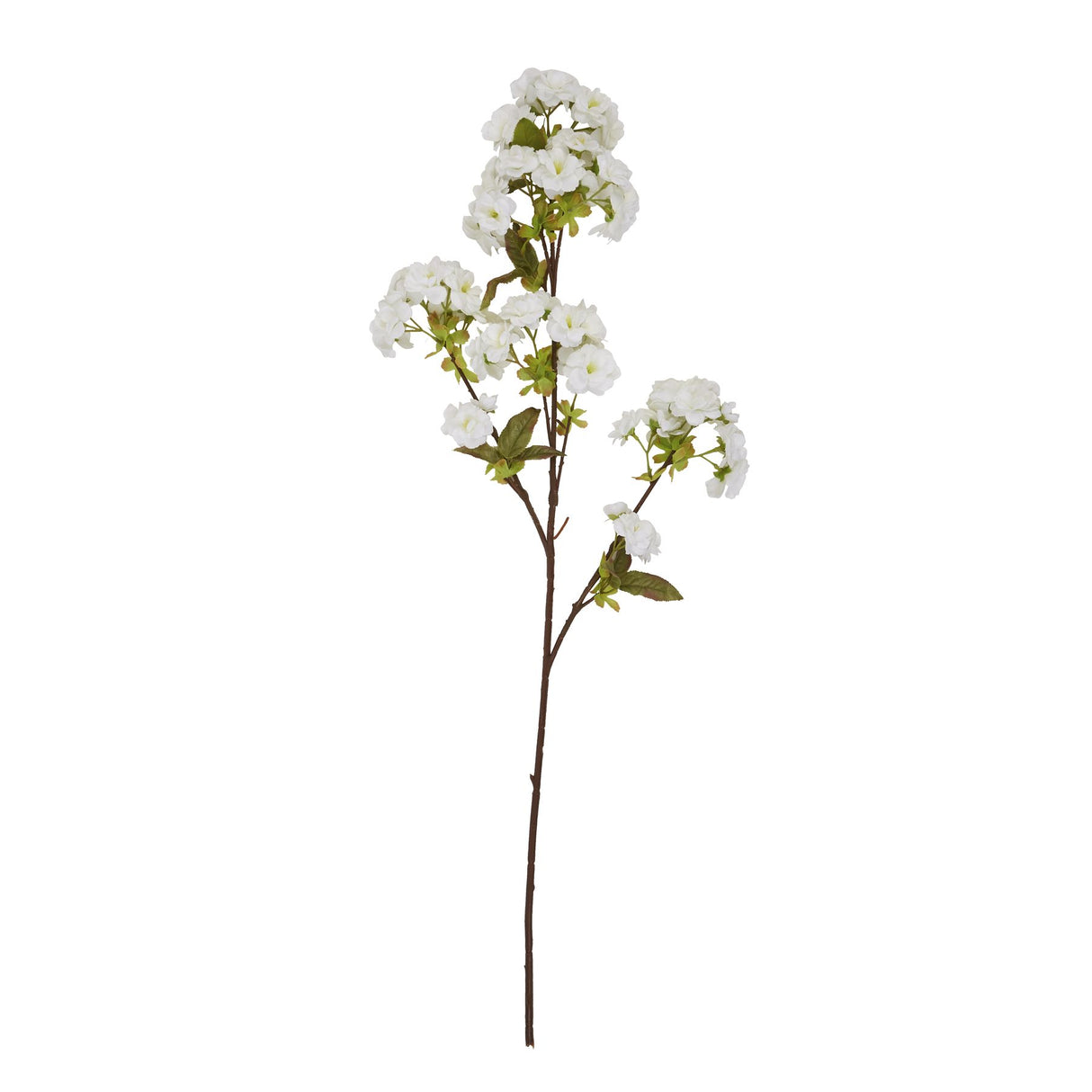 tall white blossom