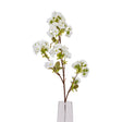 tall white blossom