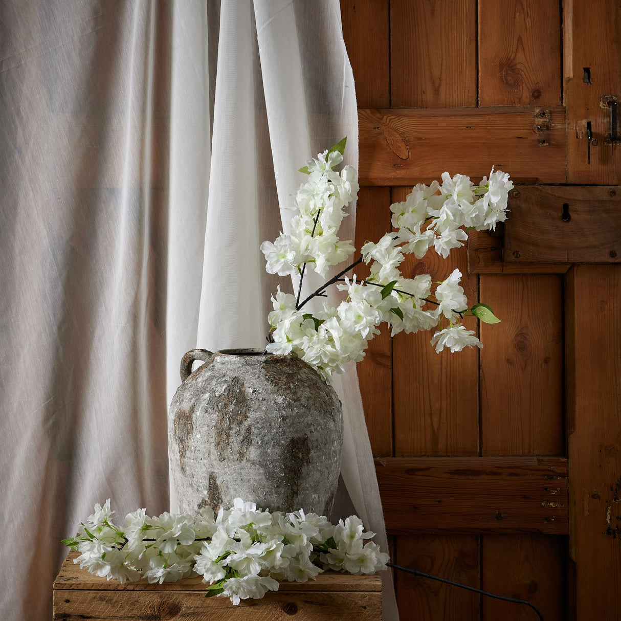 large white full cherry blossom stem