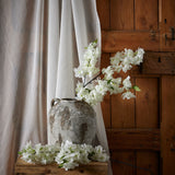 large white full cherry blossom stem