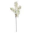 large white full cherry blossom stem