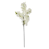 large white full cherry blossom stem