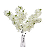 large white full cherry blossom stem