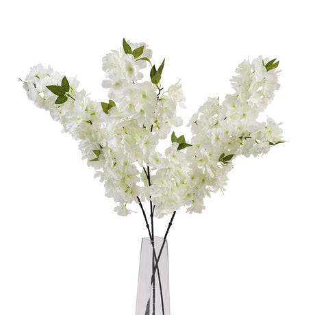 large white full cherry blossom stem
