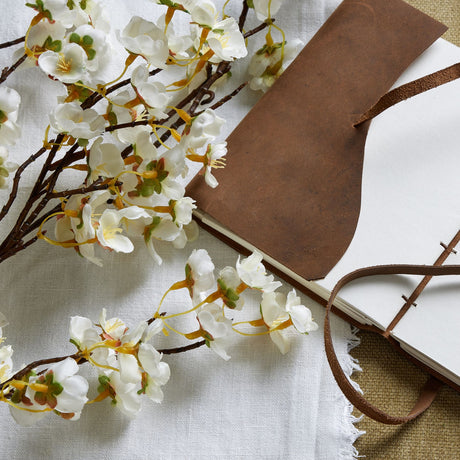 white japanese blossom