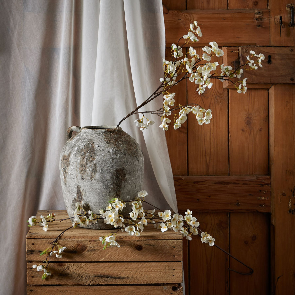 white japanese blossom