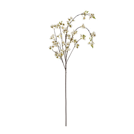 white japanese blossom