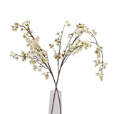 white japanese blossom