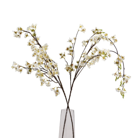 white japanese blossom