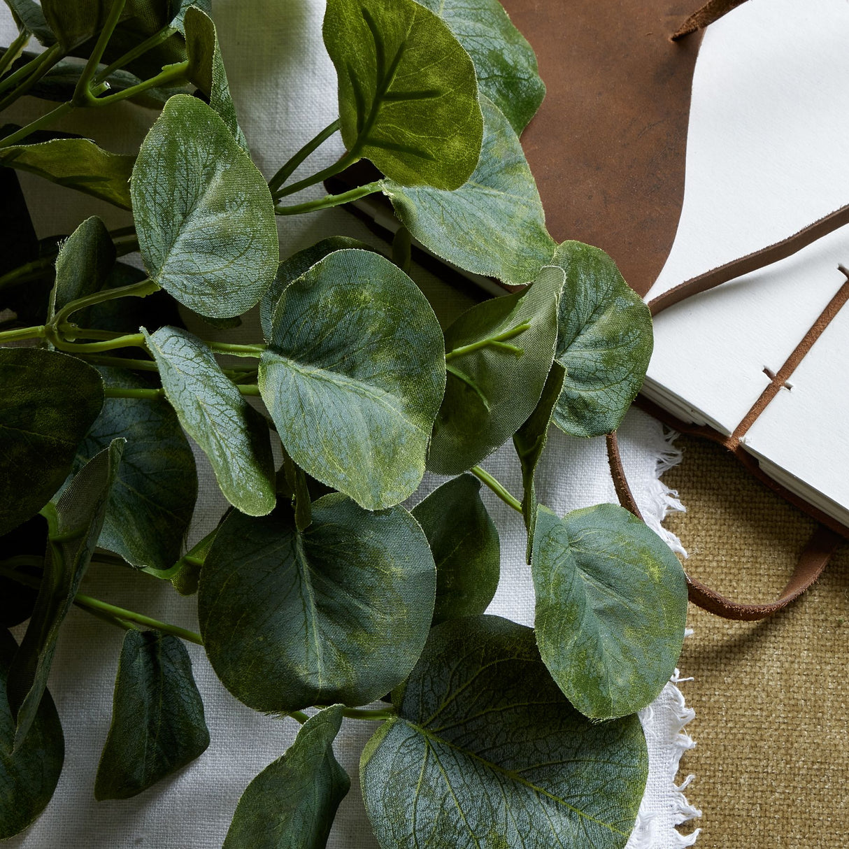 short eucalyptus bunch