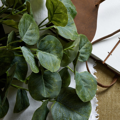 short eucalyptus bunch