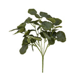 short eucalyptus bunch