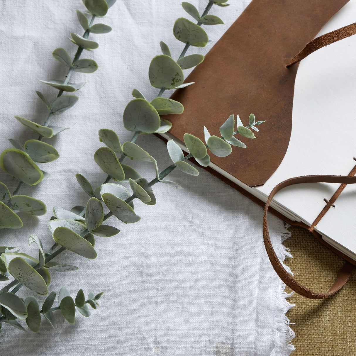 gunnii blue eucalyptus spray