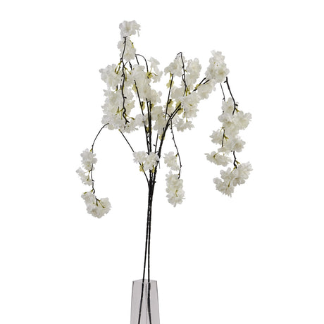 large white cherry blossom stem