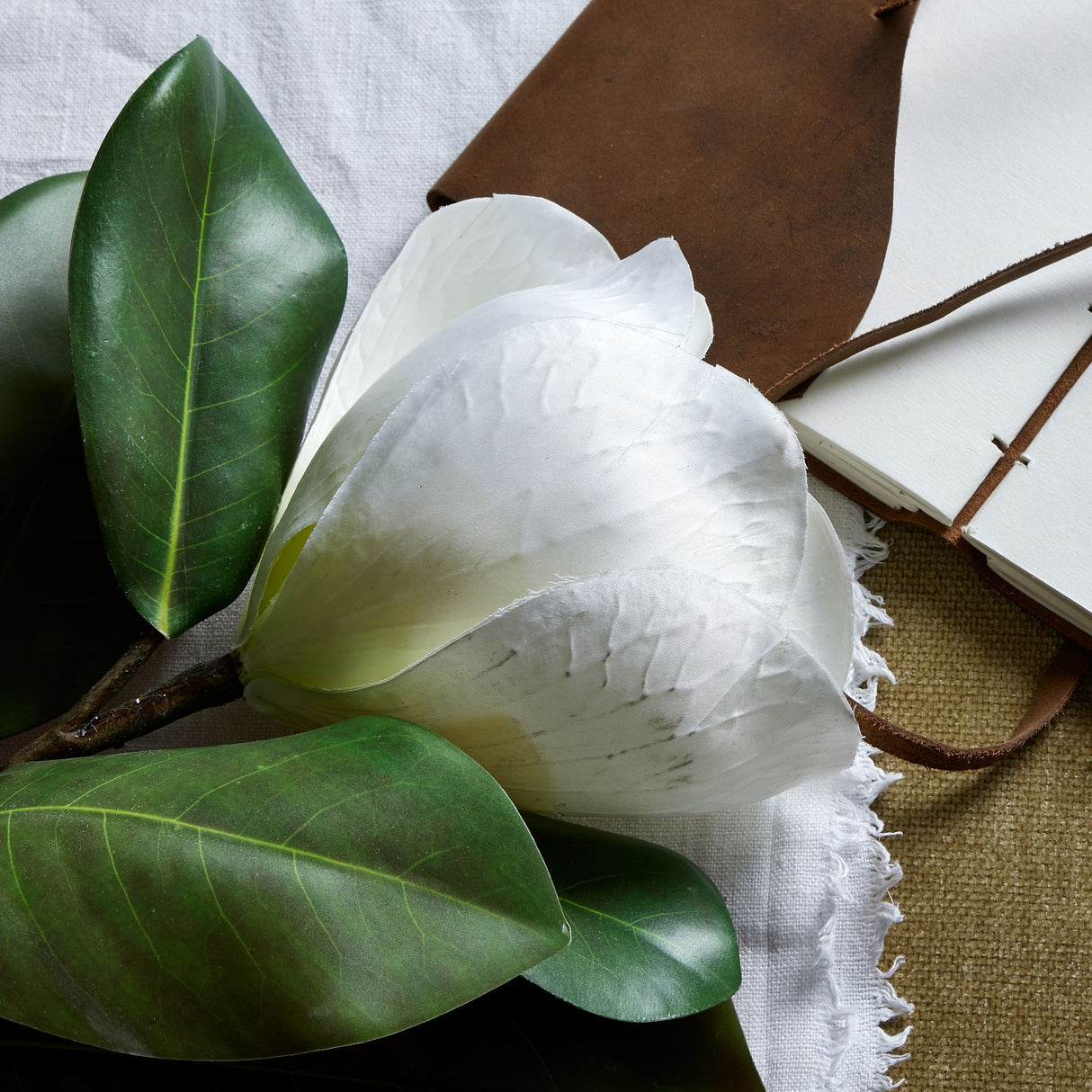 white magnolia stem
