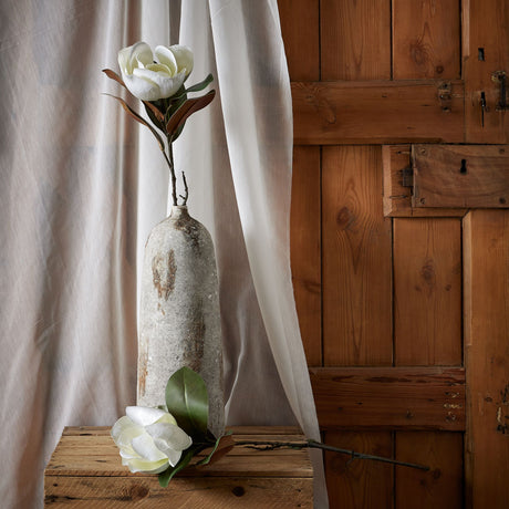 white magnolia stem