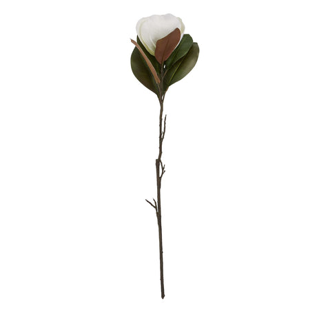 white magnolia stem