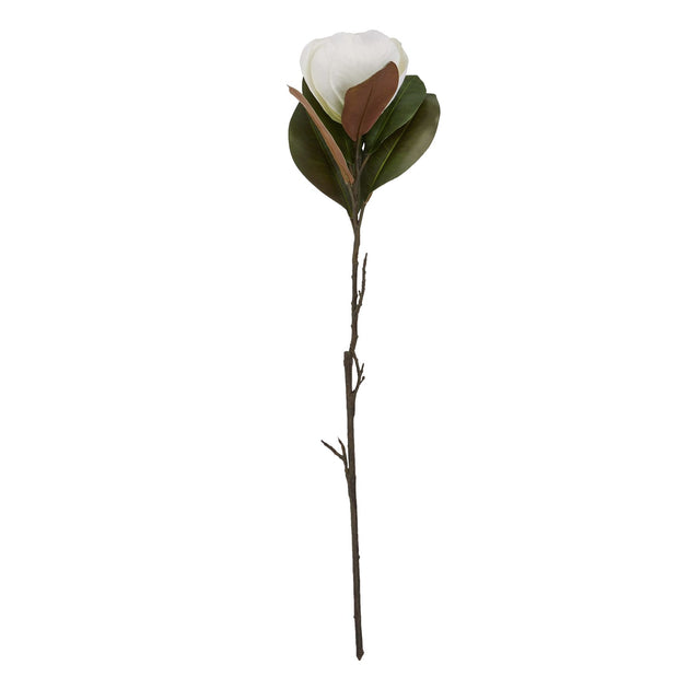 white magnolia stem