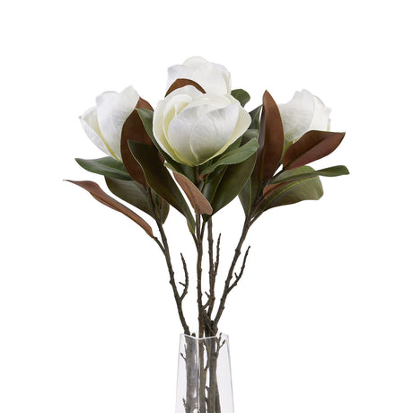 white magnolia stem