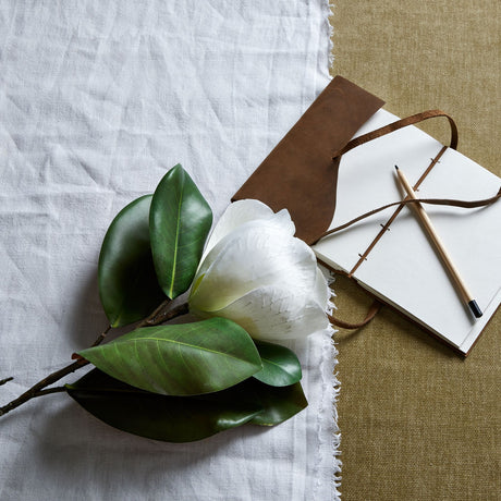 white magnolia stem
