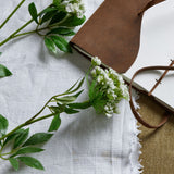 faux white cow parsley ammi