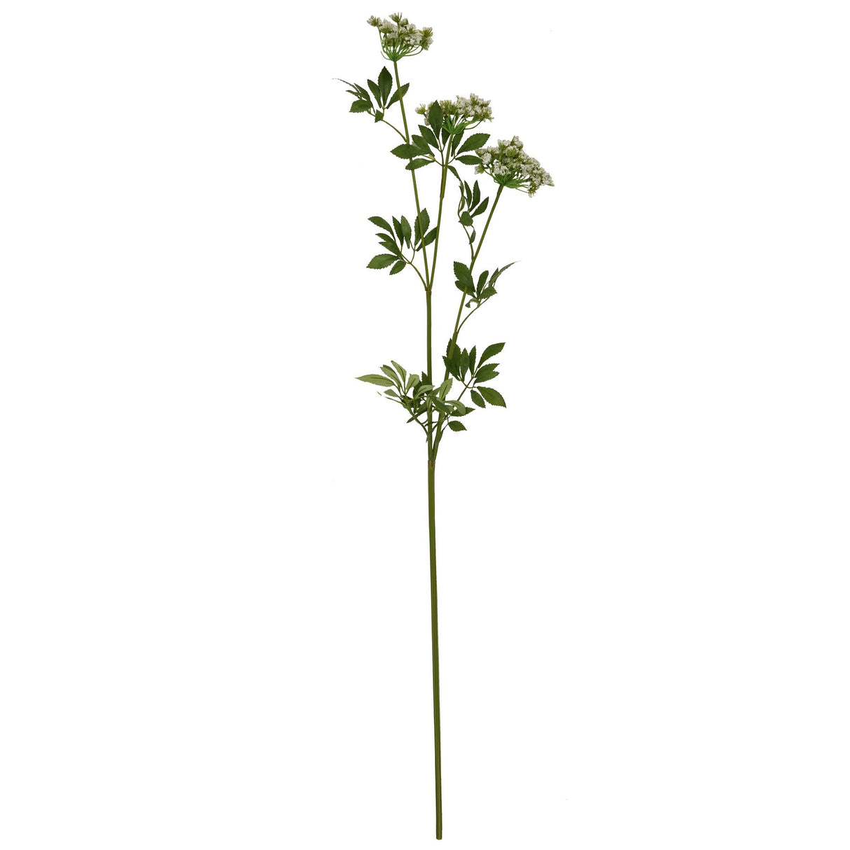 faux white cow parsley ammi