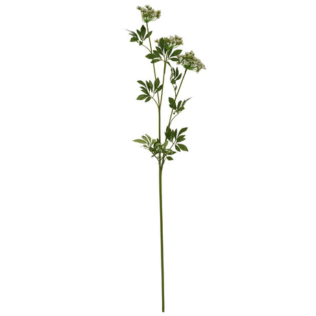 faux white cow parsley ammi