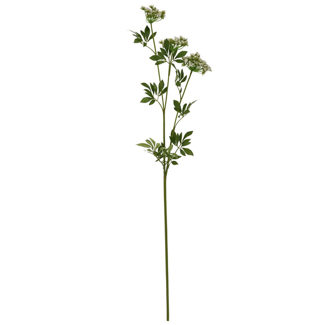 faux white cow parsley ammi