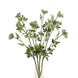 faux white cow parsley ammi