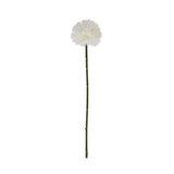 white short chrysanthemum