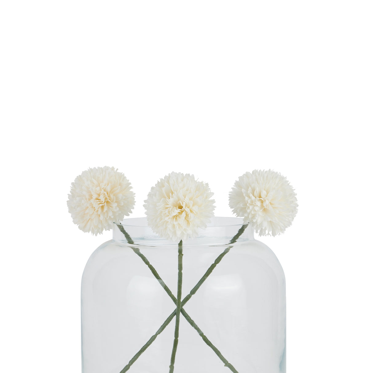 white short chrysanthemum