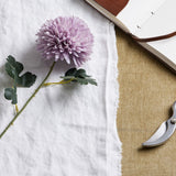 light purple chrysanthemum