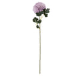 light purple chrysanthemum