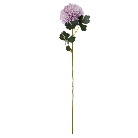 light purple chrysanthemum