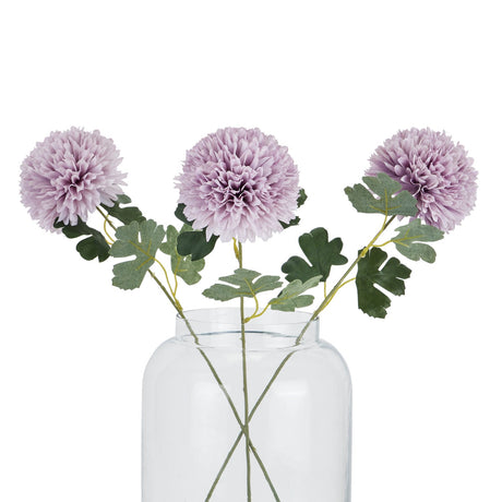 light purple chrysanthemum