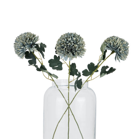 pale green blue chrysanthemum