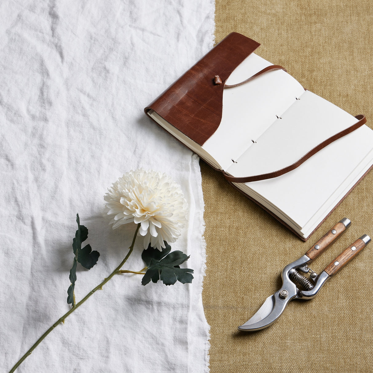 white chrysanthemum