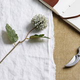 pale green blue short chrysanthemum