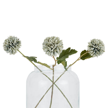 pale green blue short chrysanthemum