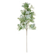 large winter sprig with lambs ear and wax flower