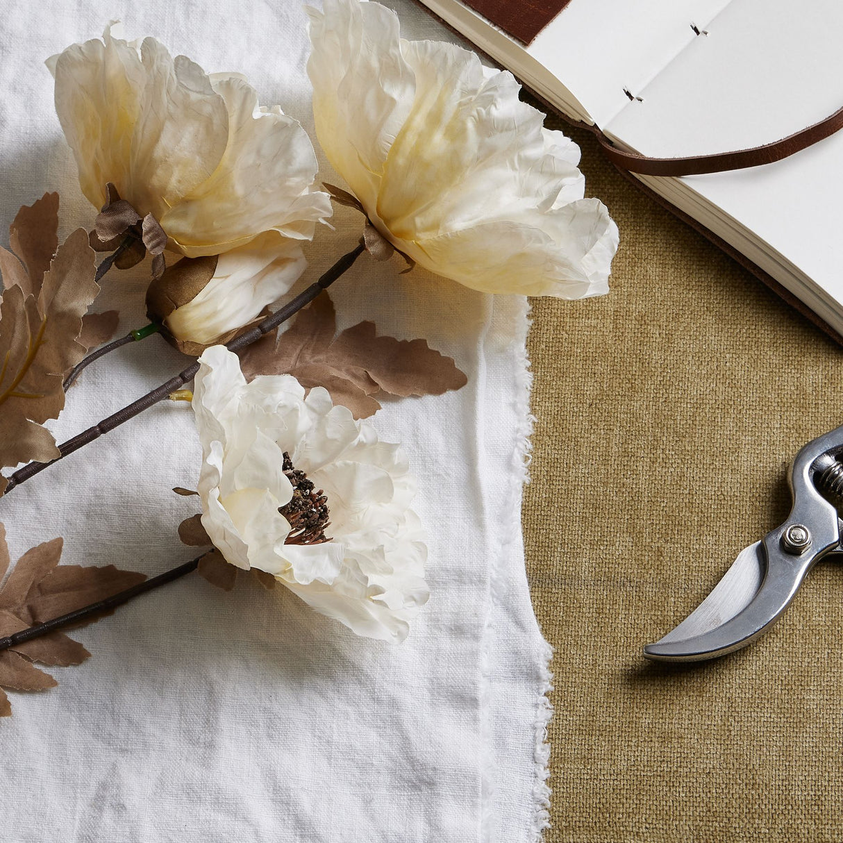 large white poppy stem